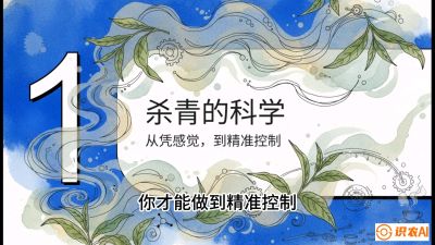 第05节（加工篇）：决胜2分钟：用&ldquo;数字温控&rdquo;破解杀青不匀，复刻大师级手工口感，课程：《茶金时代：从&ldquo;看天吃饭&rdquo;到&ldquo;精准控局&rdquo;的茶叶高产提质实战课》