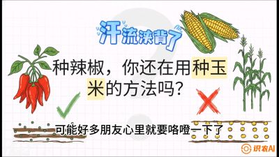 ��1�ڣ���Ʒ�ֶ�ɽ�ӡ���ҵ����vsС�������׷ʹ�ʽ���ܶ������&ldquo;�������⾭&rdquo;���γ̣�������ݪֲʵս��ѵӪ���ӹ�ҵ��������ƷС����������������&ldquo;��&rdquo;�ֳ�&ldquo;��&rdquo;��