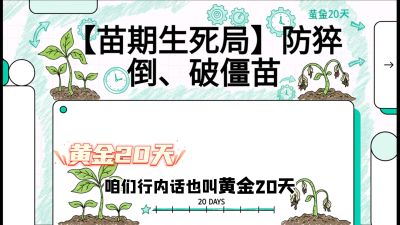 ��2�ڣ������������֡���⧵����ƽ�����������ڲ�����&ldquo;�ƽ�20��&rdquo;���γ̣�������ݪֲʵս��ѵӪ���ӹ�ҵ��������ƷС����������������&ldquo;��&rdquo;�ֳ�&ldquo;��&rdquo;��