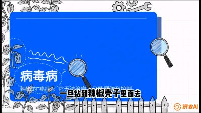 ��5�ڣ��������������������&ldquo;��֢&rdquo;��ô������&ldquo;���տֻ�&rdquo;��&ldquo;��������&rdquo;����ת�����γ̣�������ݪֲʵս��ѵӪ���ӹ�ҵ��������ƷС����������������&ldquo;��&rdquo;�ֳ�&ldquo;��&rdquo;��