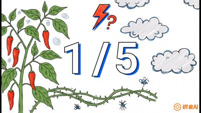 ��6�ڣ����������������仨��������Ԫ������&ldquo;����һ��&rdquo;�����ڿƼ����γ̣�������ݪֲʵս��ѵӪ���ӹ�ҵ��������ƷС����������������&ldquo;��&rdquo;�ֳ�&ldquo;��&rdquo;��