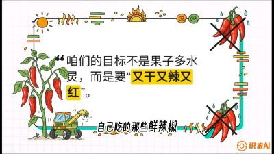 ��7�ڣ�����ҵ����ר����׷�������ȣ��������������е�����յ�&ldquo;�ߺ�����&rdquo;���γ̣�������ݪֲʵս��ѵӪ���ӹ�ҵ��������ƷС����������������&ldquo;��&rdquo;�ֳ�&ldquo;��&rdquo;��