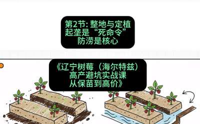 �ڶ��ڣ� �����붨ֲ&mdash;&mdash;��¢��&ldquo;������&rdquo;�������ǽ������γ̣���������ݮ���������ȣ��߲��ܿ�ʵս�Σ��ӱ��絽�߼ۡ�