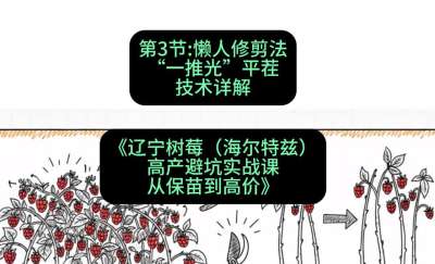 �����ڣ� �����޼���&mdash;&mdash;&ldquo;һ�ƹ�&rdquo;ƽ������������γ̣���������ݮ���������ȣ��߲��ܿ�ʵս�Σ��ӱ��絽�߼ۡ�