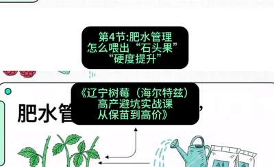 ���Ľڣ� ��ˮ����&mdash;&mdash;��ôι��&ldquo;ʯͷ��&rdquo;��Ӳ�����������γ̣���������ݮ���������ȣ��߲��ܿ�ʵս�Σ��ӱ��絽�߼ۡ�