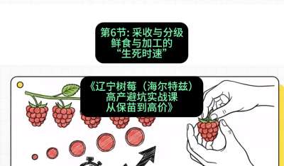 �����ڣ� ������ּ�&mdash;&mdash;��ʳ��ӹ���&ldquo;����ʱ��&rdquo;���γ̣���������ݮ���������ȣ��߲��ܿ�ʵս�Σ��ӱ��絽�߼ۡ�