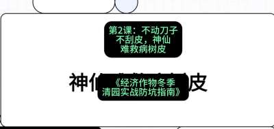 ��2�ڣ��������ֶΡ��������Ӳ���Ƥ�������ѾȲ���Ƥ���γ̣����������ﶬ����԰&middot;ʵս����ָ�ϡ�#ʶũAI