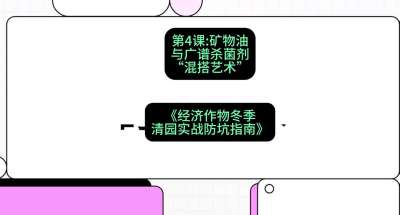 ��4�ڣ����滻�ƻ��������������ɱ������&ldquo;�������&rdquo;���γ̣����������ﶬ����԰&middot;ʵս����ָ�ϡ�#ʶũAI