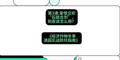 ��3�ڣ�������ҩ�������޽�֯��&ldquo;ʯ��ϼ�&rdquo;����������ô�������γ̣����������ﶬ����԰&middot;ʵս����ָ�ϡ�#ʶũAI