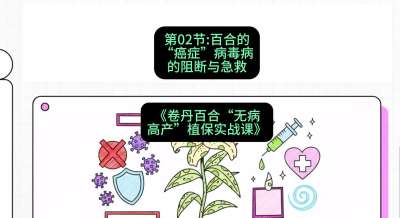 ��02�ڣ��ٺϵ�&ldquo;��֢&rdquo;&mdash;&mdash;��������������������γ̣��������ٺ�&ldquo;�޲��߲�&rdquo;ֲ��ʵս�Ρ�#ʶũAI