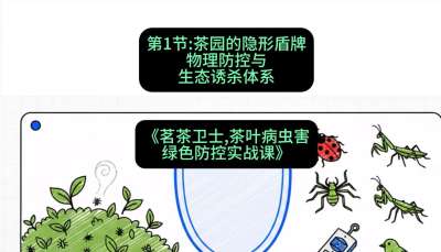 ��01�ڣ���԰��&ldquo;���ζ���&rdquo;&mdash;&mdash;������������̬��ɱϵͳ���γ̣���������ʿ&mdash;&mdash;��Ҷ���溦��ɫ����ʵս�Ρ�#ʶũAI