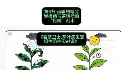 ��03�ڣ��꼾��ù��&mdash;&mdash;̿�Ҳ���������&ldquo;����&rdquo;ս�����γ̣���������ʿ&mdash;&mdash;��Ҷ���溦��ɫ����ʵս�Ρ�#ʶũAI