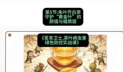第05节：朱叶齐白茶&mdash;&mdash;守护&ldquo;黄金叶&rdquo;的颜值与蜡质层（重点），课程：《茗茶卫士&mdash;&mdash;茶叶病虫害绿色防控实战课》#识农AI