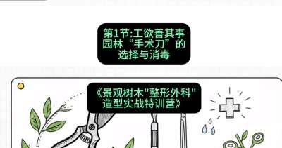 ��01�ڣ�����������&mdash;&mdash;԰��&ldquo;������&rdquo;��ѡ�����������γ̣���������ľ&ldquo;�������&rdquo;����ʵս��ѵӪ��#ʶũAI