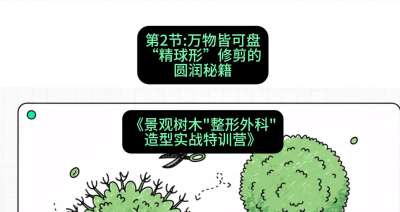 ��02�ڣ�����Կ���&mdash;&mdash;&ldquo;������&rdquo;�޼���Բ���������γ̣���������ľ&ldquo;�������&rdquo;����ʵս��ѵӪ��#ʶũAI