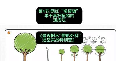 ��04�ڣ�����&ldquo;������&rdquo;&mdash;&mdash;���ɸ߸�ֲ����ٳɷ����γ̣���������ľ&ldquo;�������&rdquo;����ʵս��ѵӪ��#ʶũAI