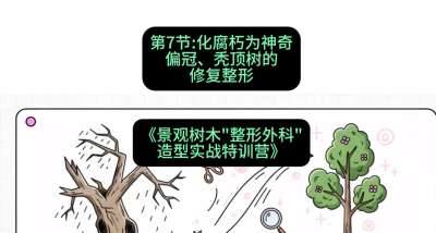 第07节：化腐朽为神奇&mdash;&mdash;偏冠、秃顶树的修复整形，课程：《景观树木&ldquo;整形外科&rdquo;造型实战特训营》#识农AI