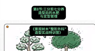 第08节：三分剪七分养&mdash;&mdash;造型后的水肥与定型管理，课程：《景观树木&ldquo;整形外科&rdquo;造型实战特训营》#识农AI