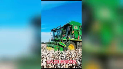 �߲�������