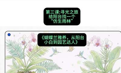 第三节：寻光之旅：给阳台找一个&ldquo;仿生雨林&rdquo;，课程：《蝴蝶兰雅养六讲：从阳台小白到园艺达人》#识农AI