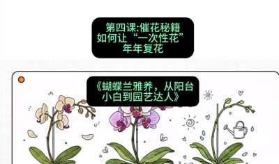 第四节：催花秘籍：如何让&ldquo;一次性花&rdquo;年年复花，课程：《蝴蝶兰雅养六讲：从阳台小白到园艺达人》#识农AI