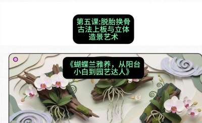 第五节：脱胎换骨：古法上板与立体造景艺术，课程：《蝴蝶兰雅养六讲：从阳台小白到园艺达人》#识农AI