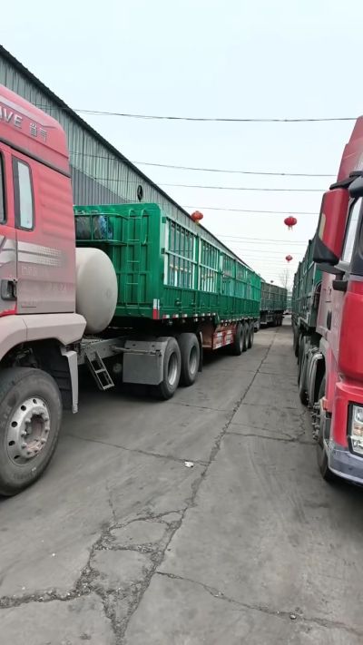 2月23号，源沃肥业排队装车中