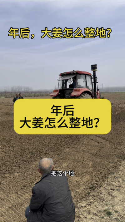 年后，大姜怎么整地？