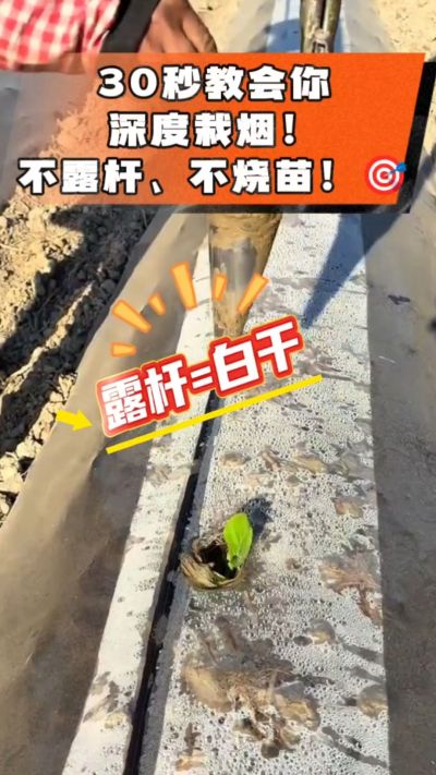 ����Է�̫Ҫ���ˣ������ǿ��̳ɻ�Ļ������ײ����ã�