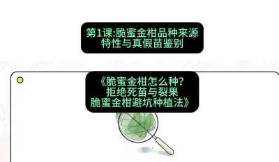 ��1�ڣ����۽��Ʒ��ȪԴ��������������б����γ̣������۽����ô�����ܾ��������ѹ������۽��8���ܿ�ݪֲ����#ʶũAI