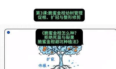 ��3�ڣ����۽�������������ٸ��������������޼����γ̣������۽����ô�����ܾ��������ѹ������۽��8���ܿ�ݪֲ����#ʶũAI