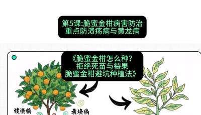 ��5�ڣ����۽�̲������Σ��ص����������������γ̣������۽����ô�����ܾ��������ѹ������۽��8���ܿ�ݪֲ����#ʶũAI