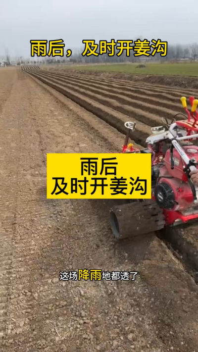 雨后，及时开姜沟！