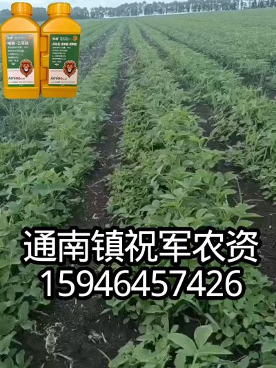 大豆苗前封闭，可封红根苋菜，灰菜，兰花菜，野豆子，捞豆秧等恶性杂草，封杀兼备的高端产品。