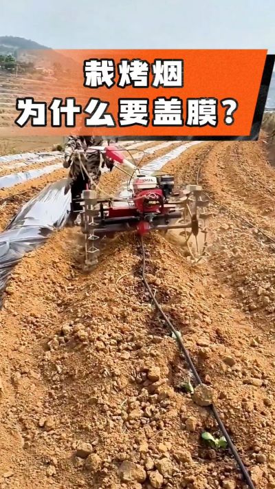 �������Ը�Ĥ������Щ����