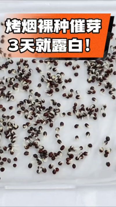 �������ִ�ѿС��������ˮ���ݡ����±�ʪ��3�����¶������������룡��ũ��٭�ղر��á�