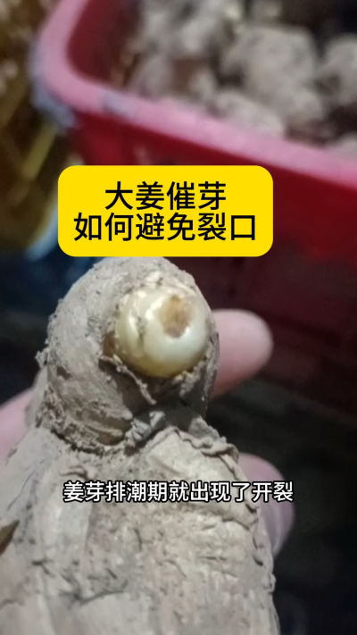 �󽪴�ѿ������ֹ�ѿ���