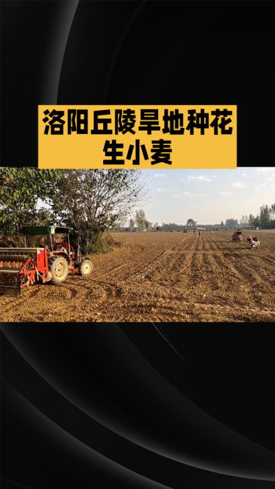 �ŵ�88��(�й���)�ٷ���վ