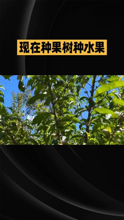 �ŵ�88��(�й���)�ٷ���վ