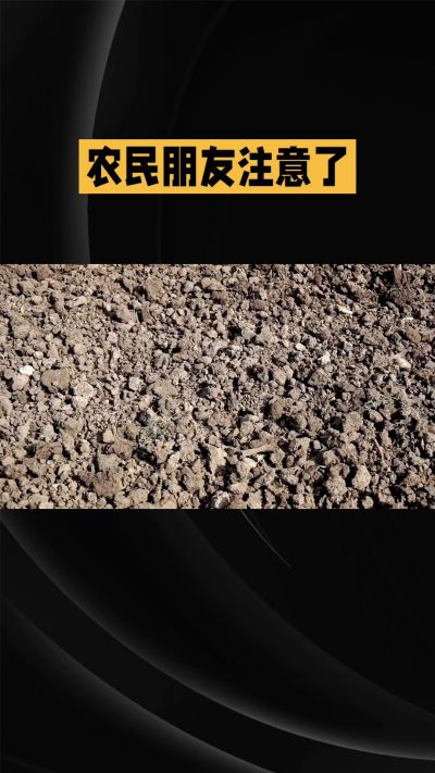 �ŵ�88��(�й���)�ٷ���վ