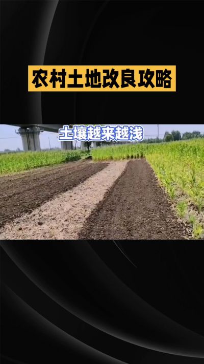 1. �ȸ㶮���㾿��Ҫ�����Ŀ�ء���ʲô
 
- ��������������
�������Լ�ũ��˵ء���԰���Ŀ������ׯ�����Ͳ��Ŀ�ص�����
?
- ��ˮû��ˮ��
��ˮ�ܽ���������ʡ����ʩ�ʡ������ò�����
ûˮ