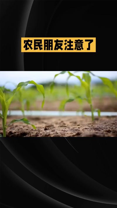 �ŵ�88��(�й���)�ٷ���վ