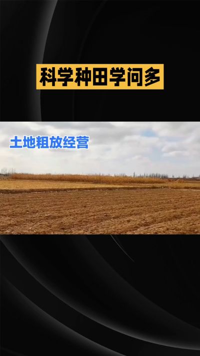 �ŵ�88��(�й���)�ٷ���վ