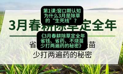 ��1�ڣ���������֪��Ϊʲô3���ǳ��ݵ�&ldquo;������&rdquo;�����γ̣���3�´������ݶ����꣺ʡǮ��ʡҩ�������硢�ٴ�����ҩ�����ء�