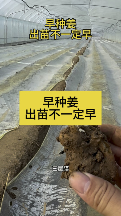 ���ֽ���������綨�磡