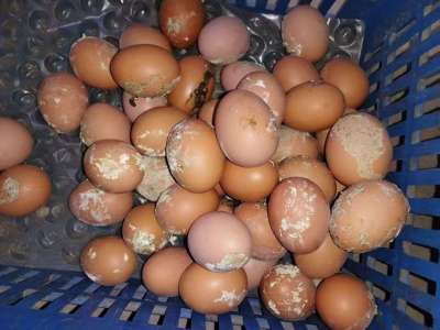 ���ݷ�������ϡ���൰ƫ���Ե��ԭ��