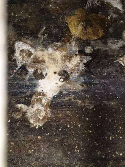 ��������ϡ������