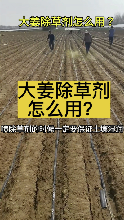 �󽪳��ݼ���ô����