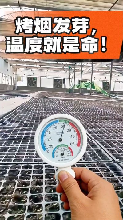 ����ũ��������ѿ�¶Ȳ���������ٹܶ��״