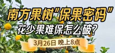 《细说农技》守住全年丰收！李军开讲南方果树保果技术，｜3 月 26 日晚 8 点
